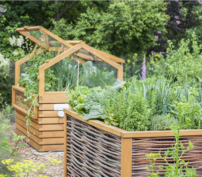 Gartenkräuter Gartenkräuter