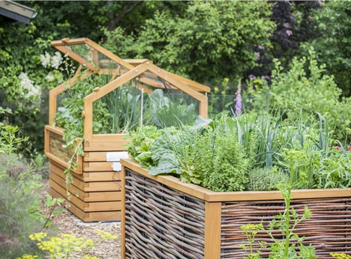 Gartenkräuter Gartenkräuter