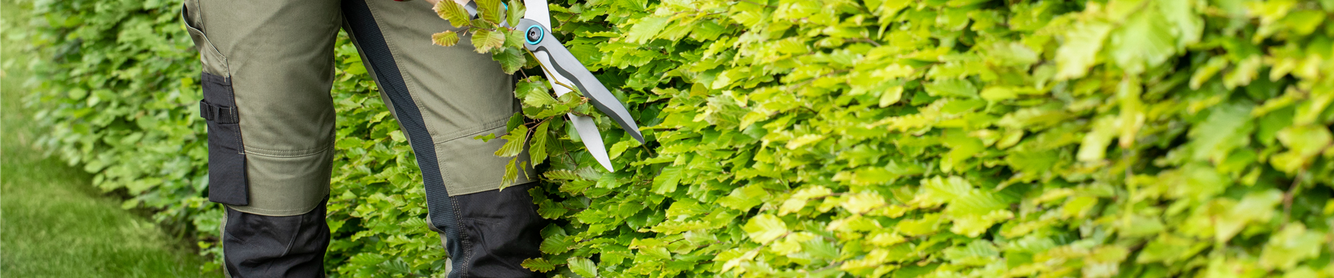 Gartengeräte - Arbeit mit Heckenschere