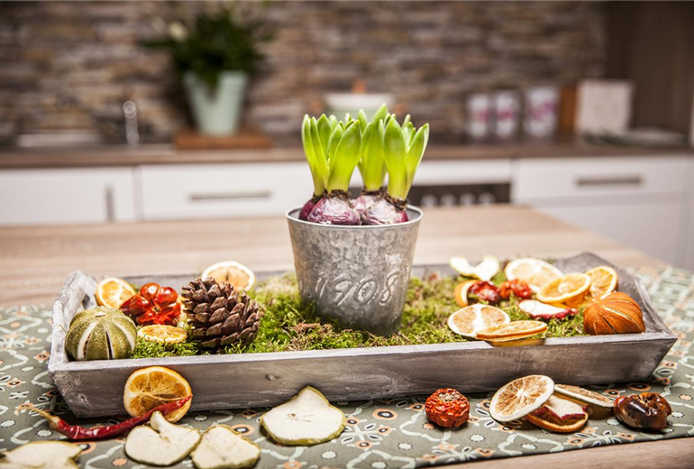 Hyacinthus orientalis Hyacinthus orientalis