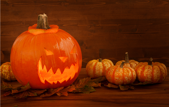 Der Garten zu Halloween – Schaurig schön Der Garten zu Halloween – Schaurig schön