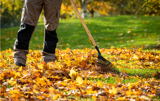 Gartenarbeit im Herbst – Das ist jetzt wichtig Gartenarbeit im Herbst – Das ist jetzt wichtig