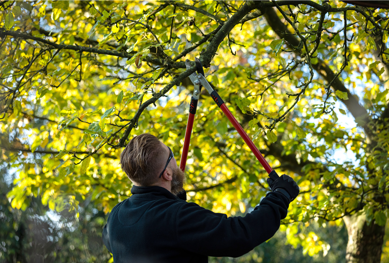Gartengeräte - Mann mit Astschere Gartengeräte - Mann mit Astschere