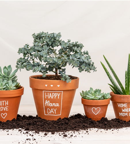 Danke Mama! – Die beliebtesten Blumen zum Muttertag