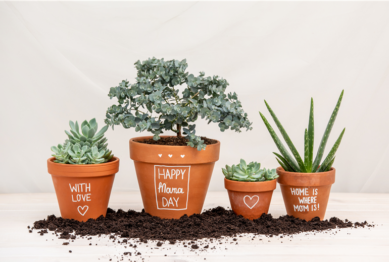 Muttertag - Bepflanzte Töpfe mit Aufschrift Muttertag - Bepflanzte Töpfe mit Aufschrift