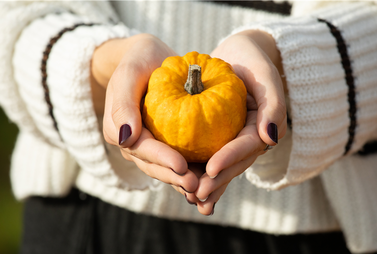 Frau hält Kürbis Frau hält Kürbis