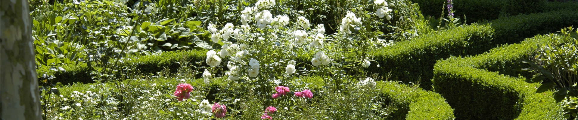Bauerngarten Bauerngarten