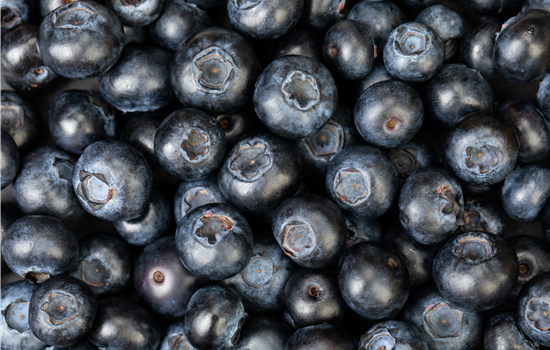 Blaubeere oder Schwarzbeere – die Heidelbeere hat viele Namen und viel Geschmack Blaubeere oder Schwarzbeere – die Heidelbeere hat viele Namen und viel Geschmack