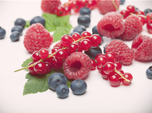 Beerenobst Beerenobst
