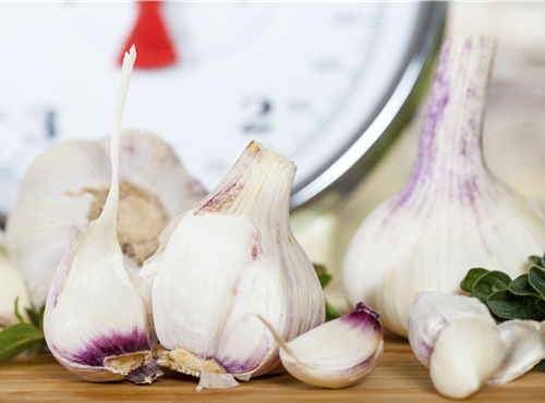 Allium sativum Allium sativum