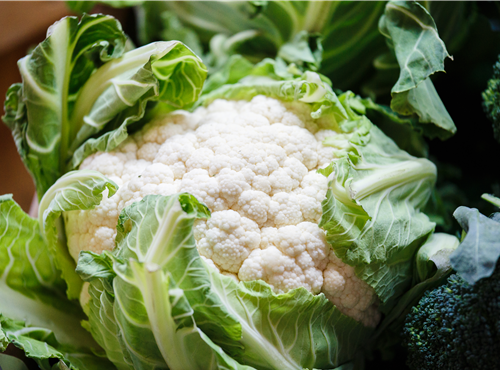 Brassica oleracea var. botrytis Brassica oleracea var. botrytis