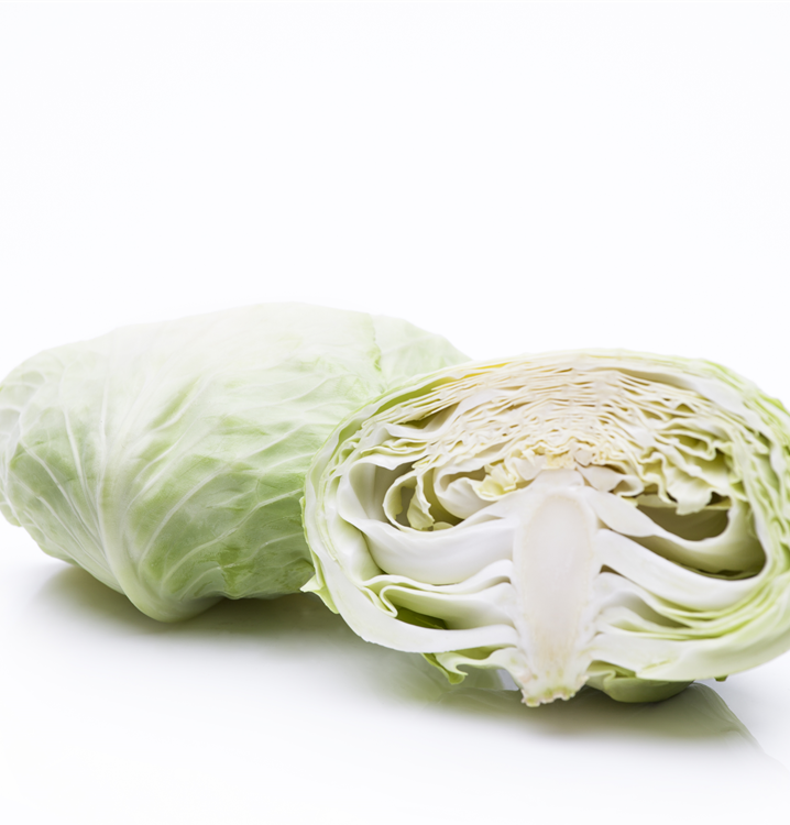 Weißkohl Weißkohl