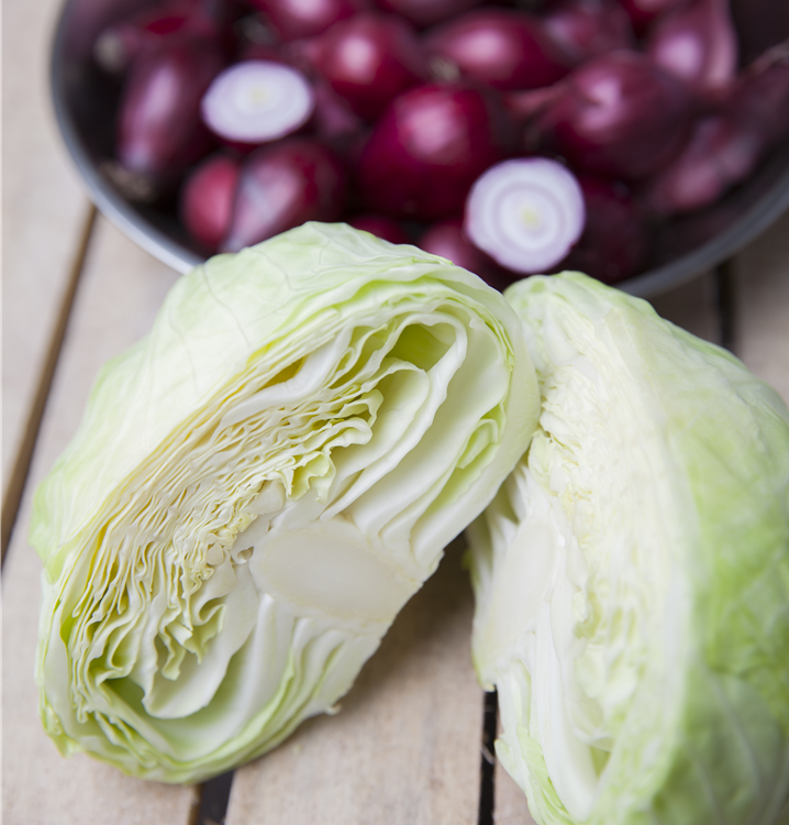 Weißkohl Weißkohl
