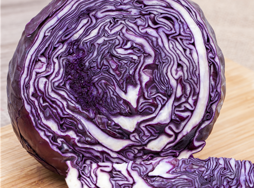 Brassica oleracea var. capitata f. rubra Brassica oleracea var. capitata f. rubra