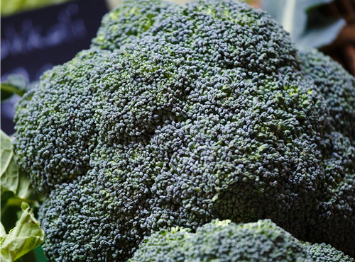 Brassica oleracea var. italica