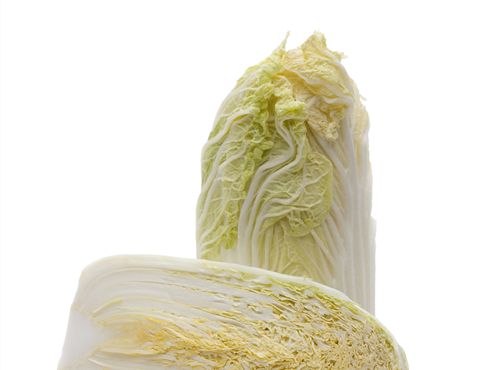 Brassica rapa subsp. pekinensis Brassica rapa subsp. pekinensis