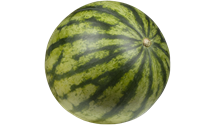 Wassermelone Wassermelone
