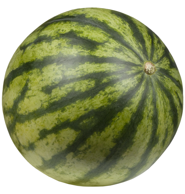 Wassermelone Wassermelone