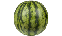 Wassermelone Wassermelone