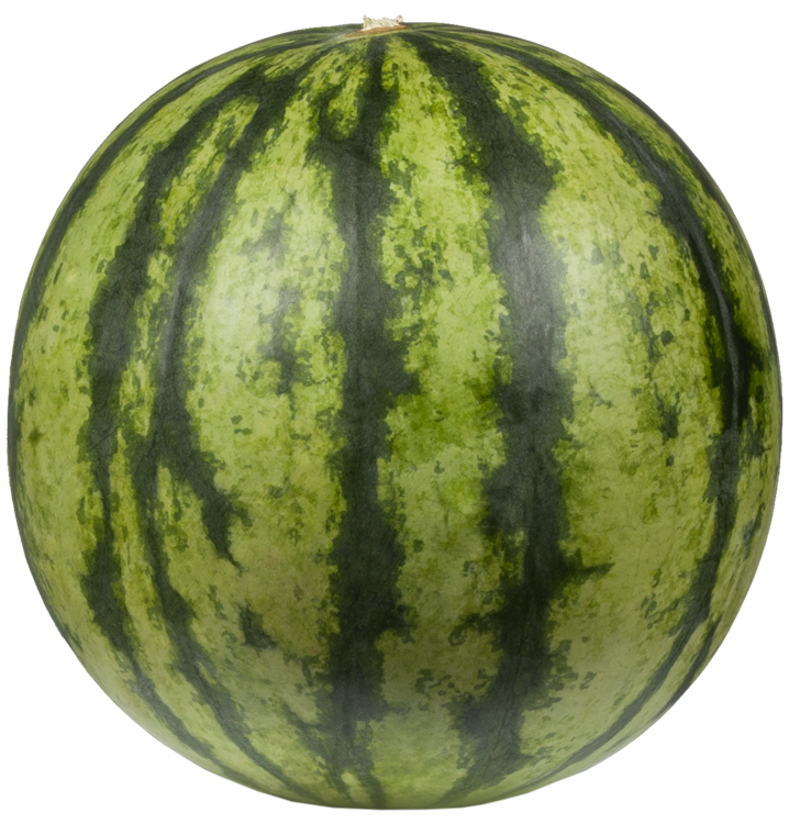 Wassermelone Wassermelone