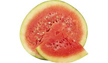 Wassermelone Wassermelone