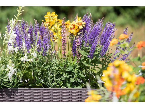 Wernigerode: Gärtner/ Mitarbeiter (m/w/d) mit gärtnerischen Vorkenntnissen