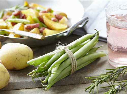 Phaseolus vulgaris Phaseolus vulgaris