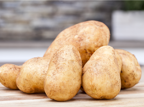 Solanum tuberosum Solanum tuberosum