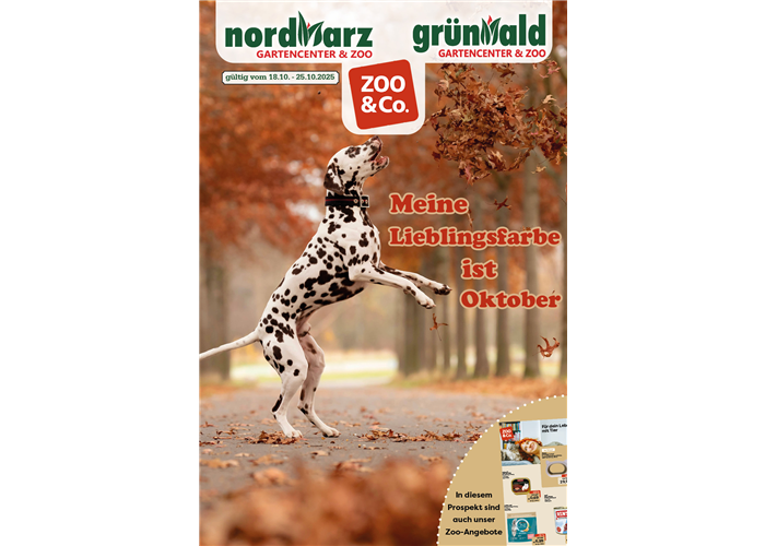 Meine Lieblingsfarbe ist Oktober Meine Lieblingsfarbe ist Oktober