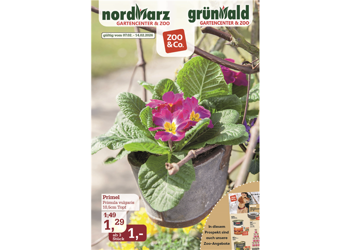 Jetzt wird es bunt...