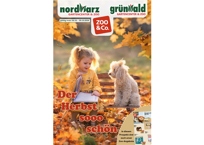 Der Herbst, sooo schön!
