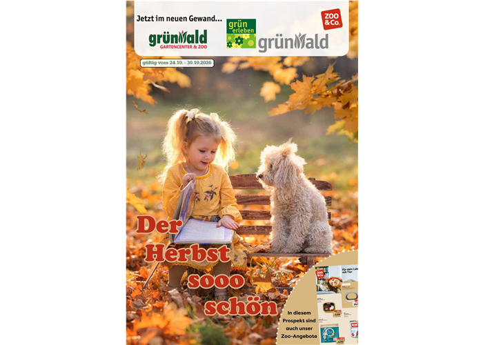 Der Herbst, sooo schön! 