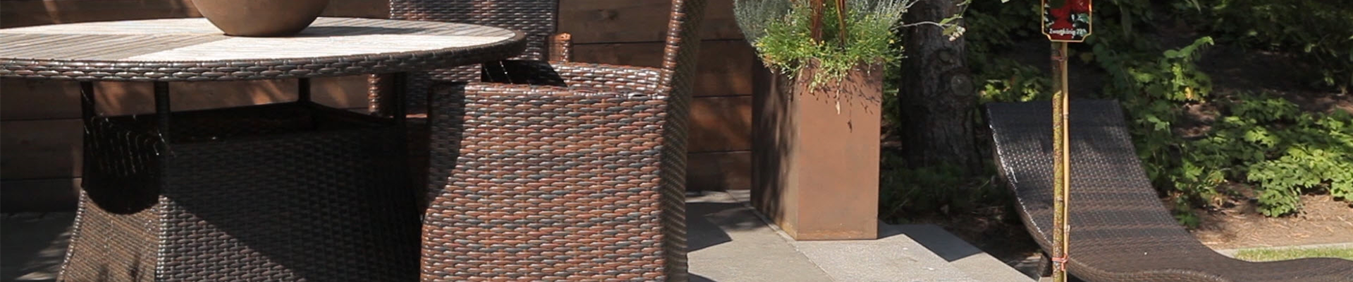 Hochstammrose - Einpflanzen in ein Gefäß (thumbnail) Hochstammrose - Einpflanzen in ein Gefäß (thumbnail)