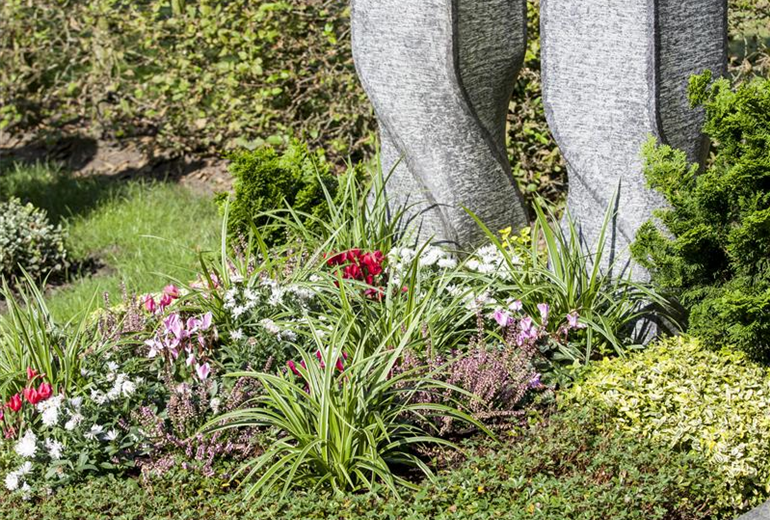 Grabbepflanzung Grabbepflanzung