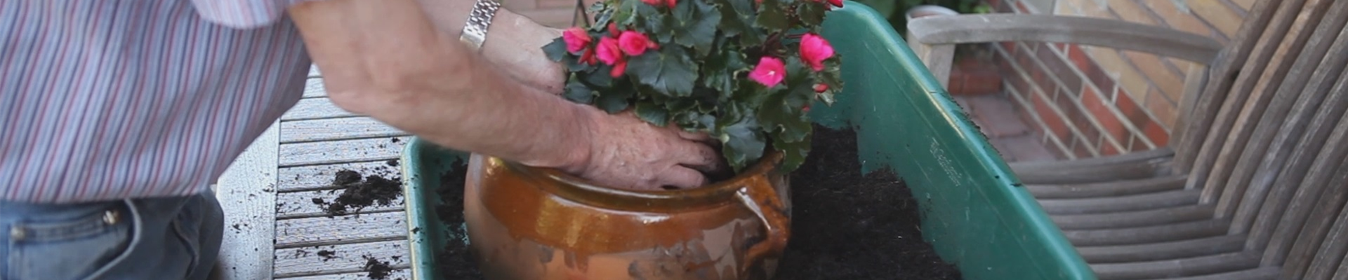 Blumenkübel - Bepflanzen mit mehreren Sommerblumen